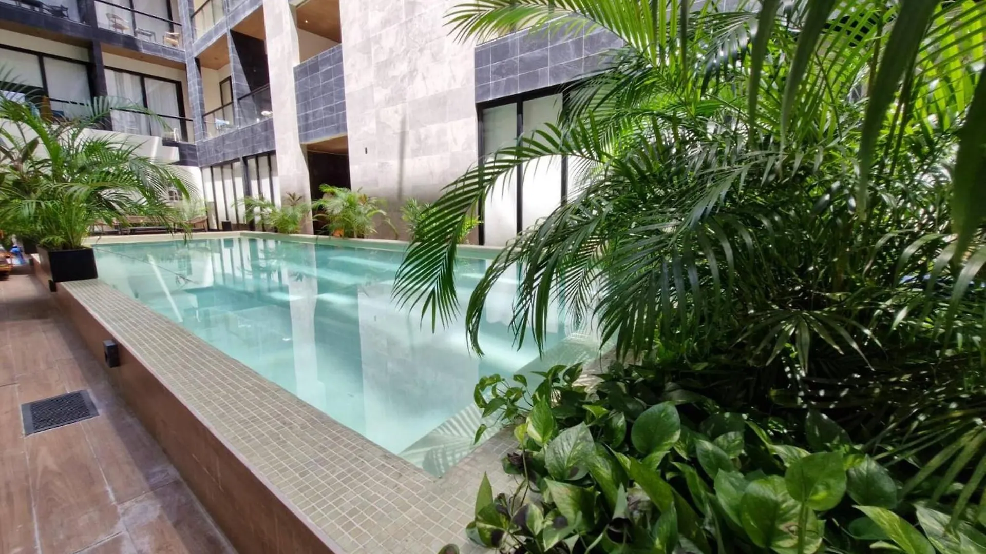 Luxury Apartment 2Br In Pdc, Steps From Beach Playa del Carmen