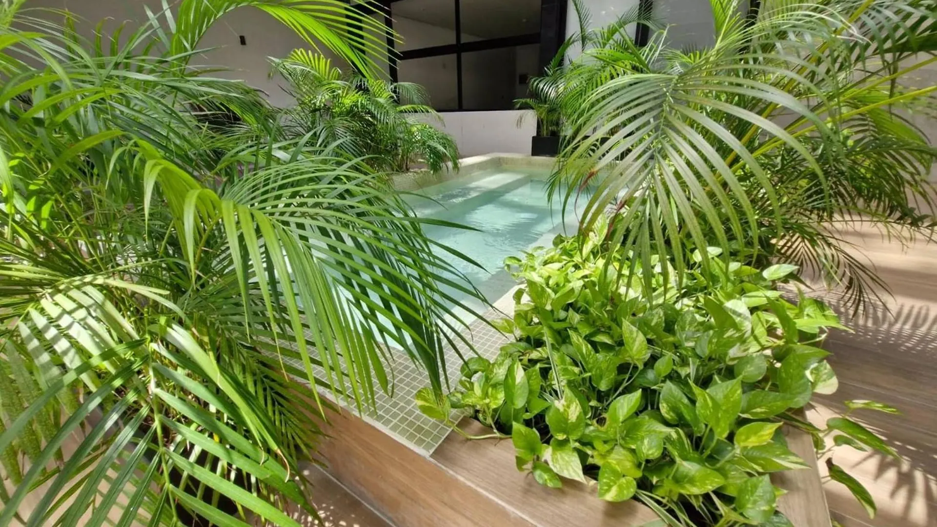 Luxury Apartment 2Br In Pdc, Steps From Beach プレヤデルカーメン